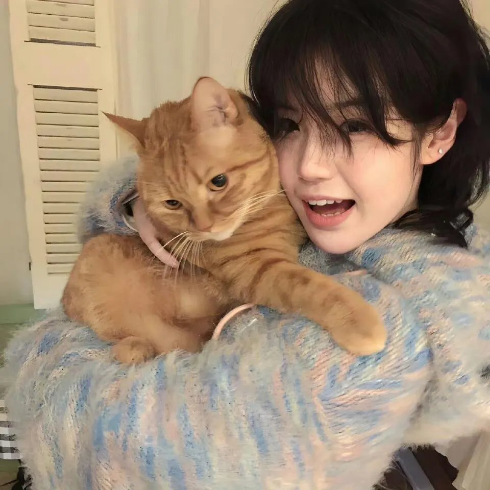 野猪林